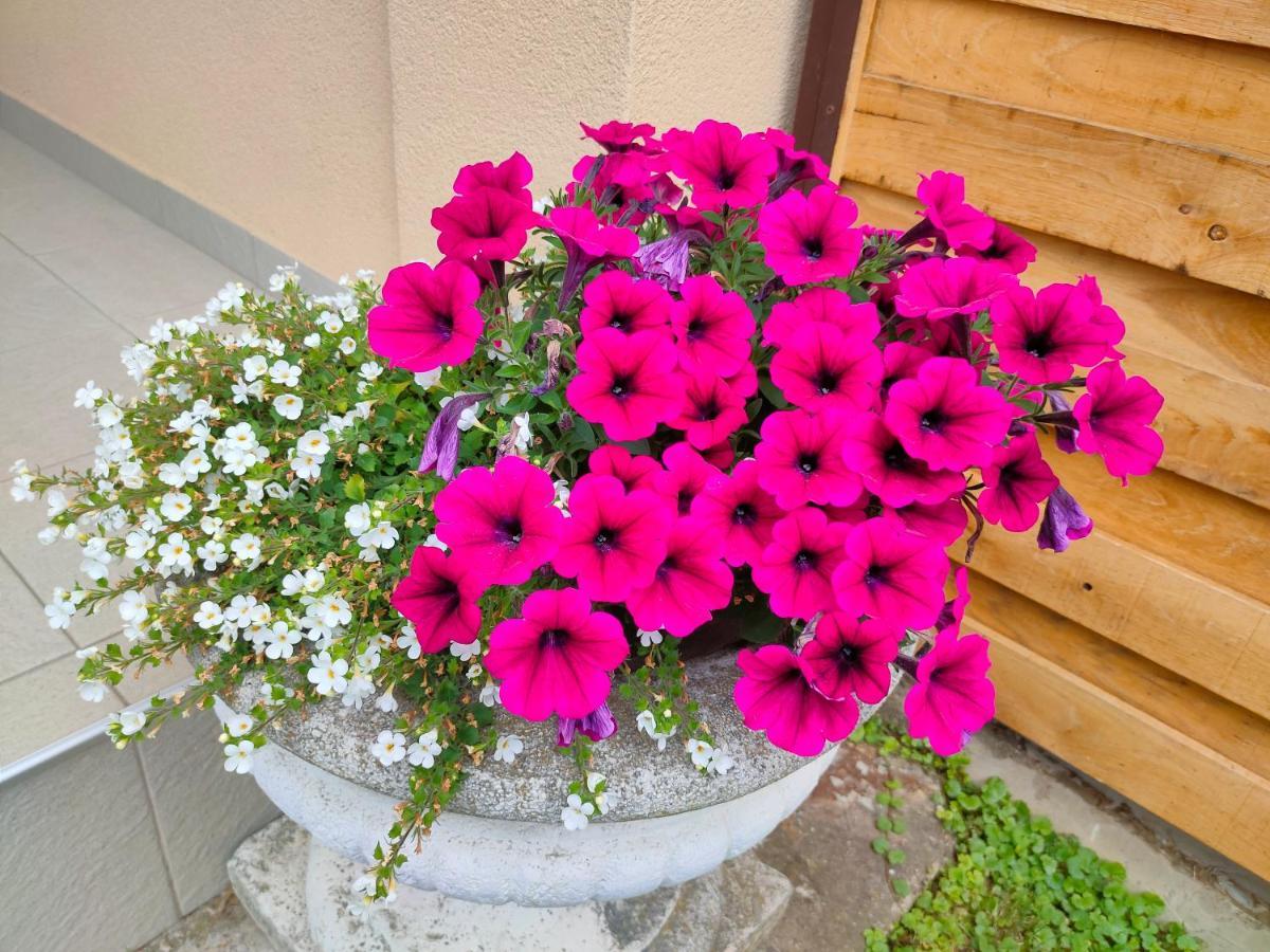 Studio apartman the little Prince Bjelovar Esterno foto
